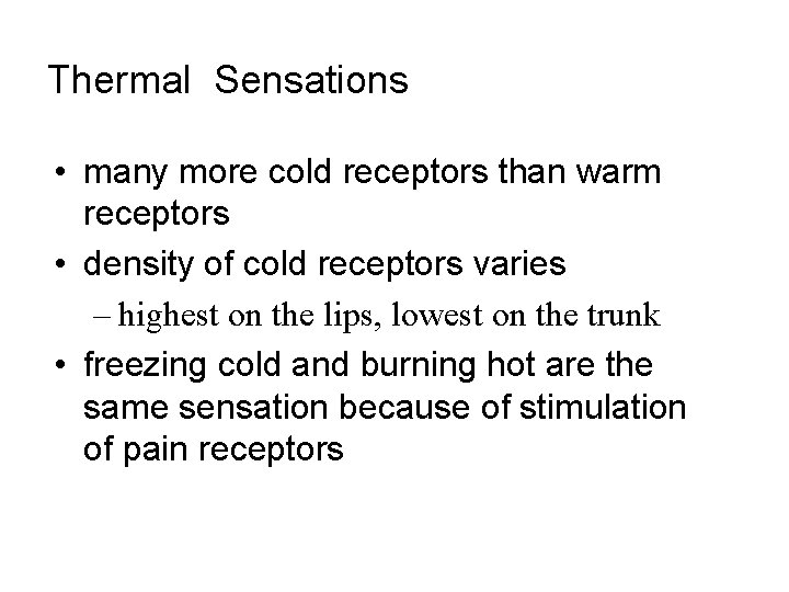 Thermal Sensations • many more cold receptors than warm receptors • density of cold