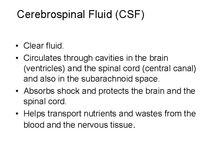 Cerebrospinal Fluid (CSF) • Clear fluid. • Circulates through cavities in the brain (ventricles)