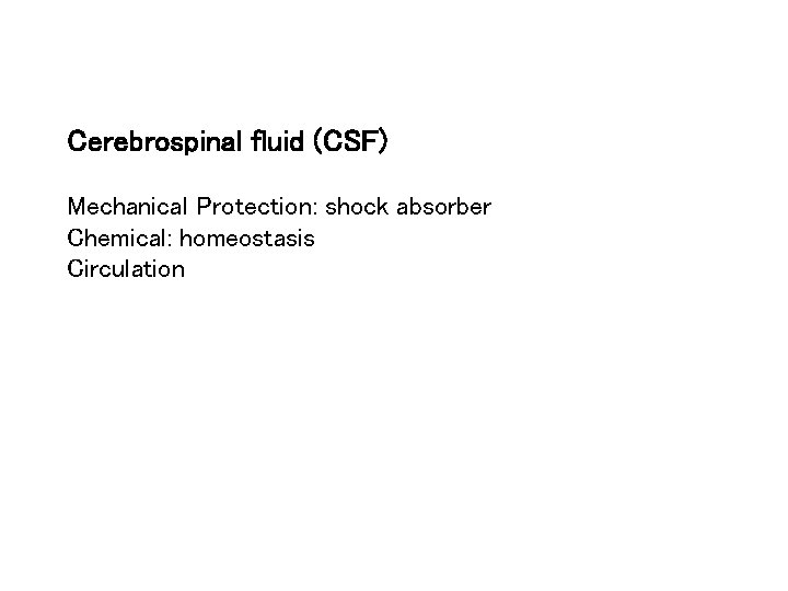 Cerebrospinal fluid (CSF) Mechanical Protection: shock absorber Chemical: homeostasis Circulation 