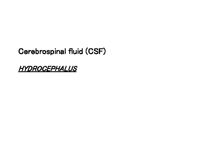 Cerebrospinal fluid (CSF) HYDROCEPHALUS 