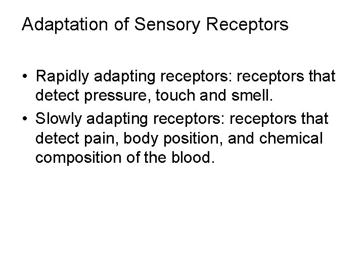 Adaptation of Sensory Receptors • Rapidly adapting receptors: receptors that detect pressure, touch and