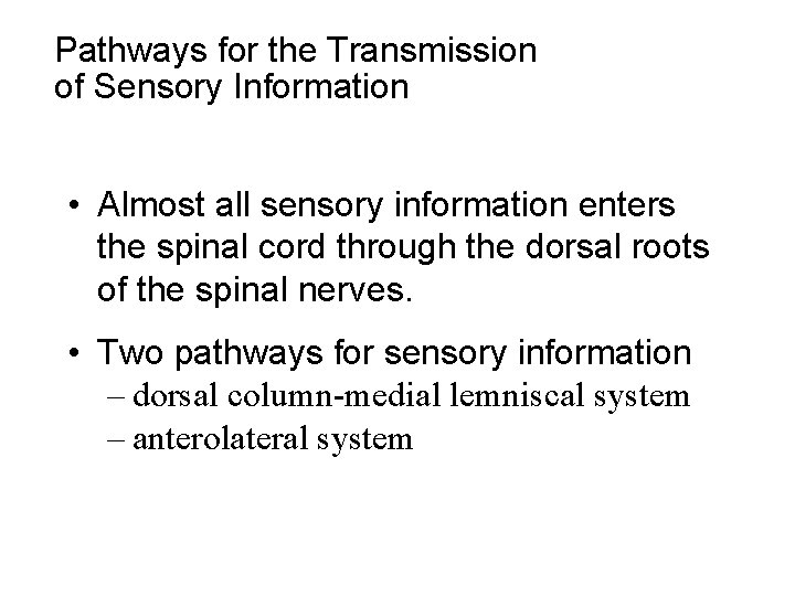 Pathways for the Transmission of Sensory Information • Almost all sensory information enters the