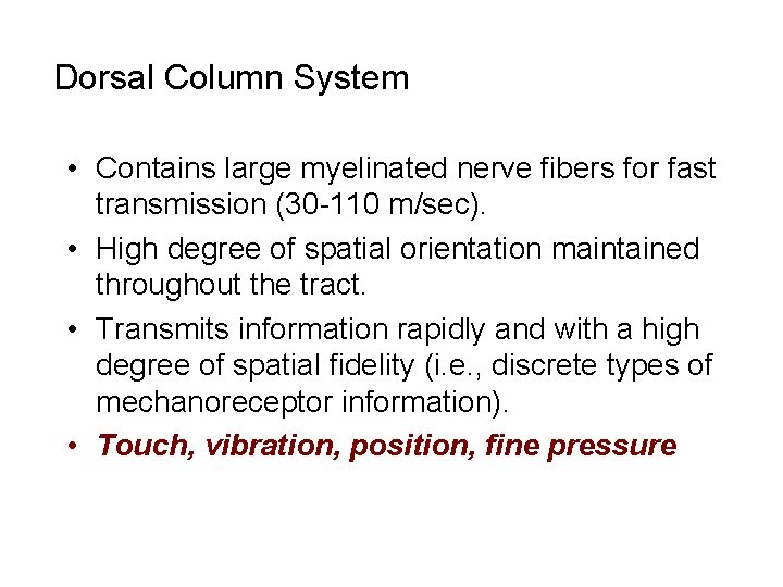 Dorsal Column System • Contains large myelinated nerve fibers for fast transmission (30 -110