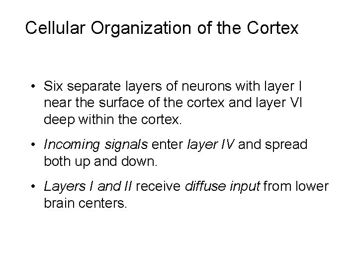 Cellular Organization of the Cortex • Six separate layers of neurons with layer I