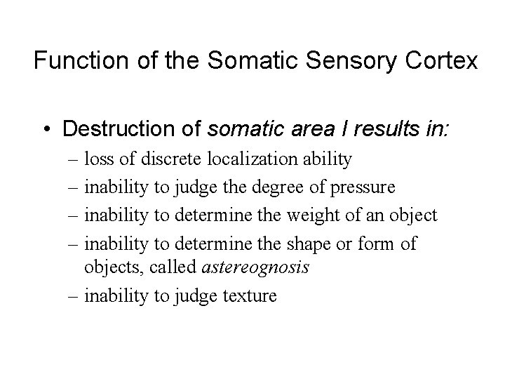 Function of the Somatic Sensory Cortex • Destruction of somatic area I results in: