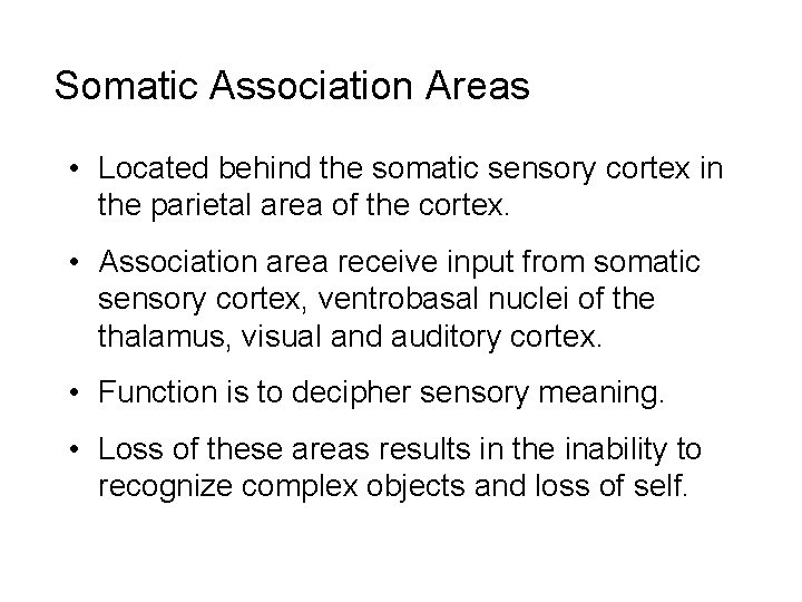 Somatic Association Areas • Located behind the somatic sensory cortex in the parietal area