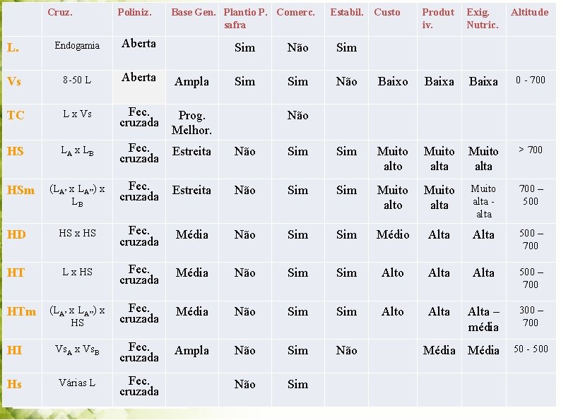 Cruz. Poliniz. Base Gen. Plantio P. Comerc. safra L. Endogamia Aberta Vs 8 -50