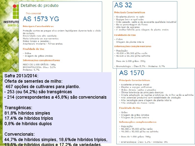 Safra 2013/2014: Oferta de sementes de milho: 467 opções de cultivares para plantio. -