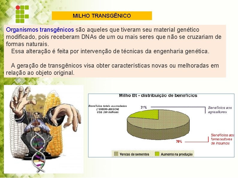 MILHO TRANSGÊNICO Organismos transgênicos são aqueles que tiveram seu material genético modificado, pois receberam