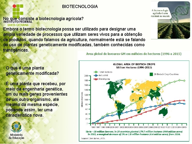 BIOTECNOLOGIA No que consiste a biotecnologia agrícola? Embora o termo biotecnologia possa ser utilizado