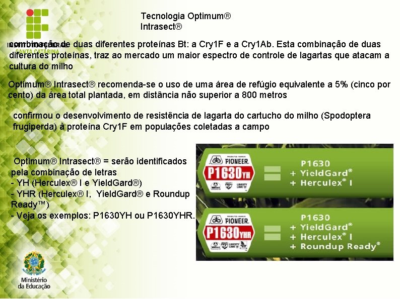 Tecnologia Optimum® Intrasect® combinação de duas diferentes proteínas Bt: a Cry 1 F e