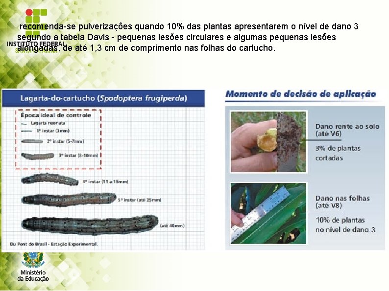 recomenda-se pulverizações quando 10% das plantas apresentarem o nível de dano 3 segundo a