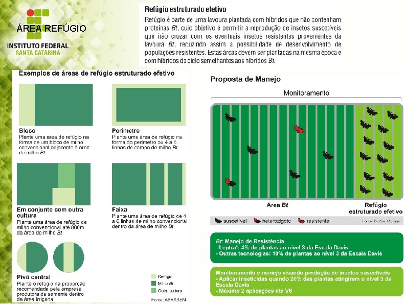 ÁREA REFÚGIO 