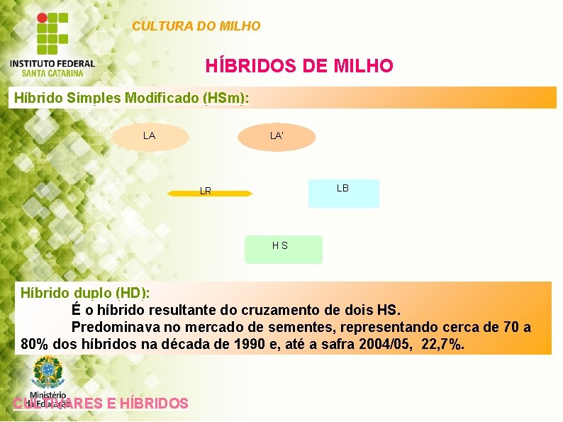 CULTURA DO MILHO HÍBRIDOS DE MILHO Híbrido Simples Modificado (HSm): LA LA’ LB LR