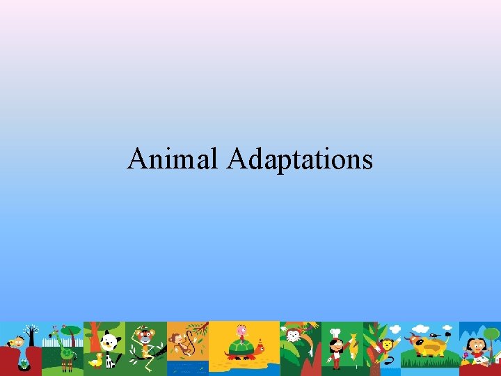 Animal Adaptations 