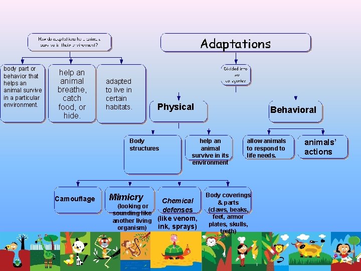 body part or behavior that helps an animal survive in a particular environment. help