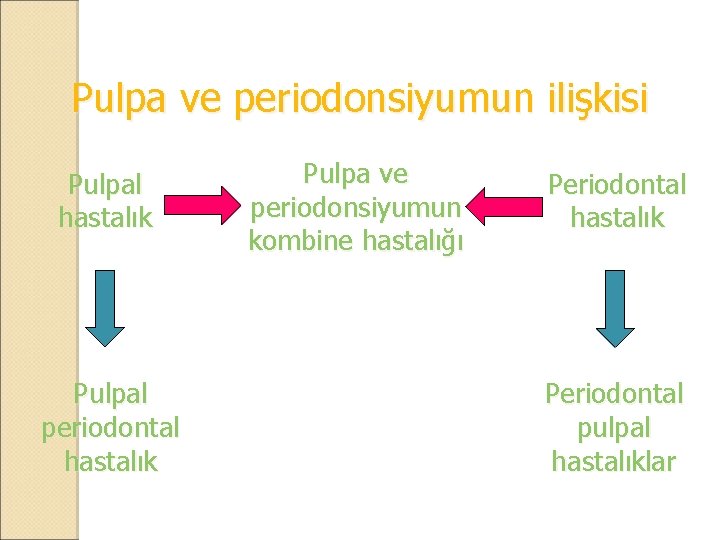 Pulpa ve periodonsiyumun ilişkisi Pulpal hastalık Pulpal periodontal hastalık Pulpa ve periodonsiyumun kombine hastalığı