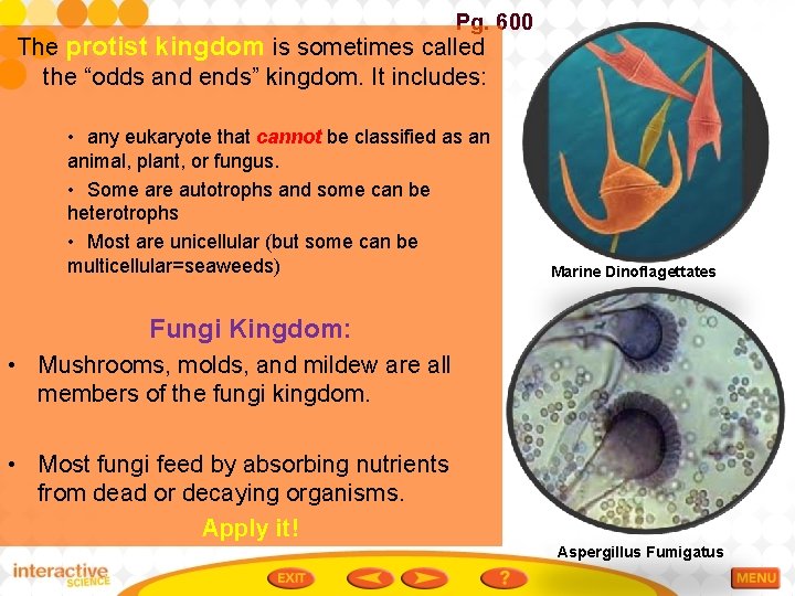 Pg. 600 The protist kingdom is sometimes called the “odds and ends” kingdom. It