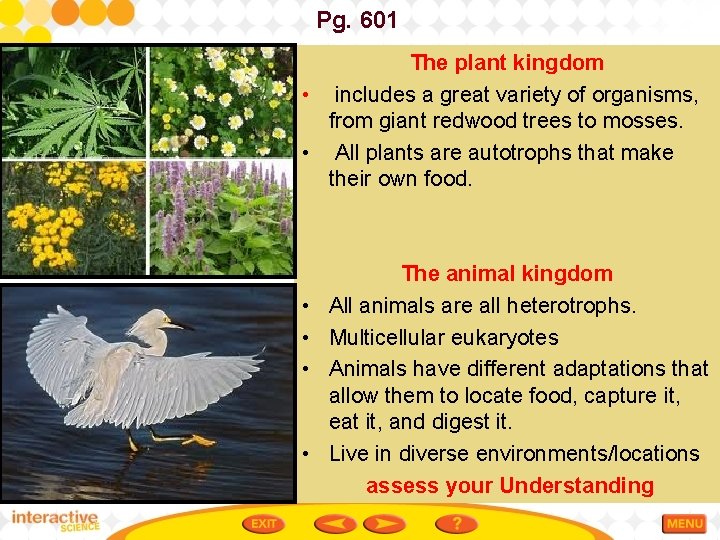 Pg. 601 The plant kingdom • includes a great variety of organisms, from giant