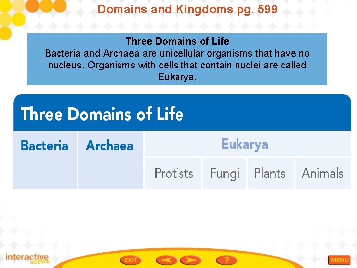 Domains and Kingdoms pg. 599 Three Domains of Life Bacteria and Archaea are unicellular