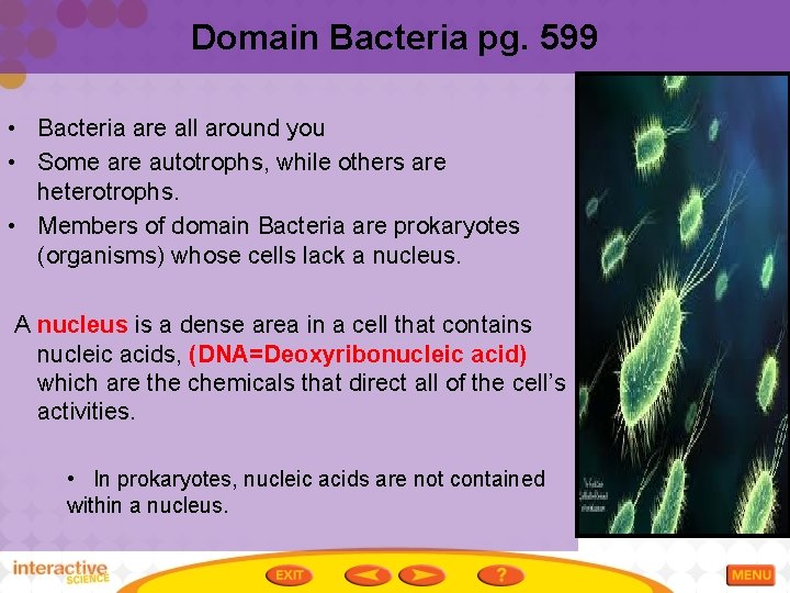 Domain Bacteria pg. 599 • Bacteria are all around you • Some are autotrophs,