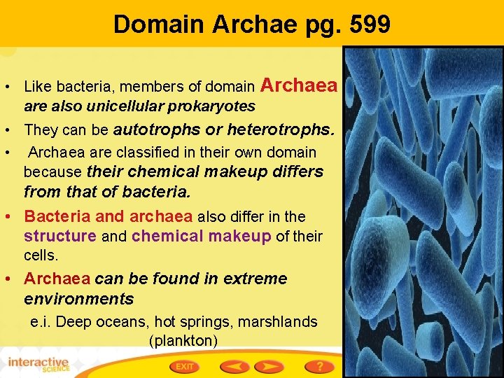 Domain Archae pg. 599 • Like bacteria, members of domain Archaea are also unicellular