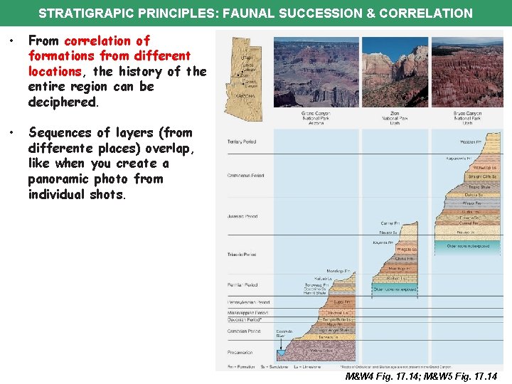 STRATIGRAPIC PRINCIPLES: FAUNAL SUCCESSION & CORRELATION • From correlation of formations from different locations,