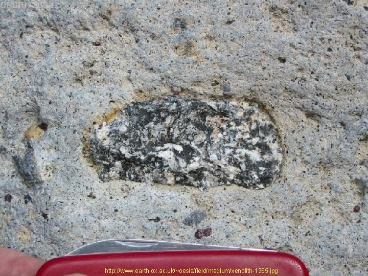 http: //www. earth. ox. ac. uk/~oesis/field/medium/xenolith-1365. jpg 