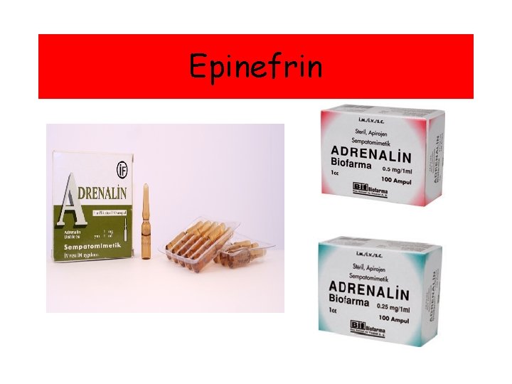 Epinefrin 