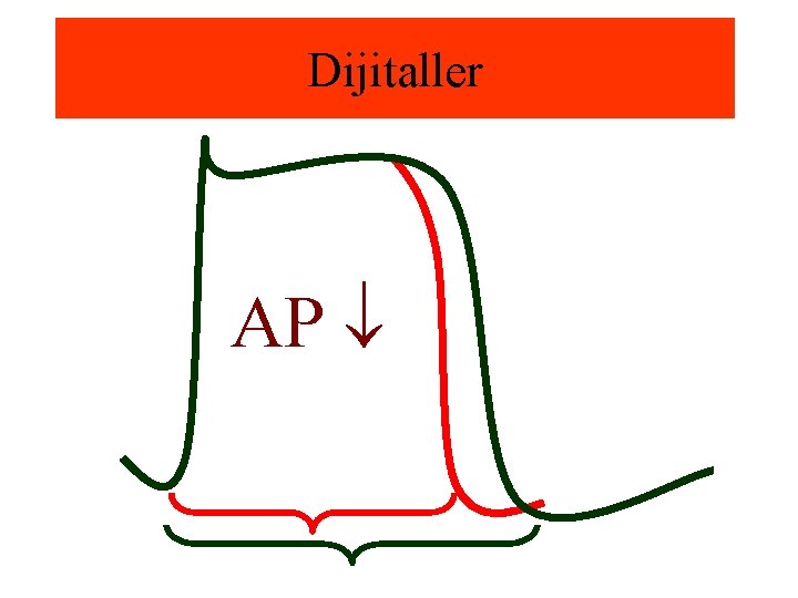 Dijitaller AP 