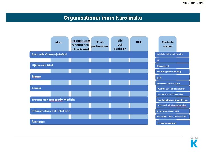 Organisationer inom Karolinska 