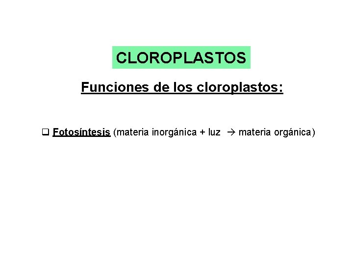 CLOROPLASTOS Funciones de los cloroplastos: q Fotosíntesis (materia inorgánica + luz materia orgánica) 