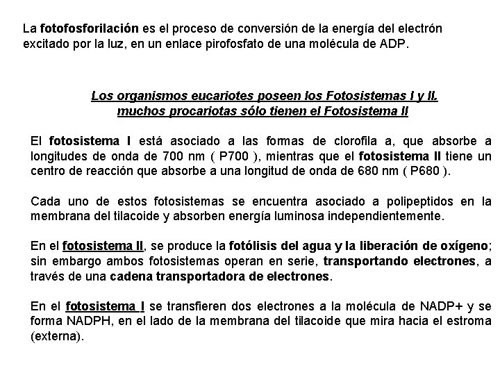 La fotofosforilación es el proceso de conversión de la energía del electrón excitado por