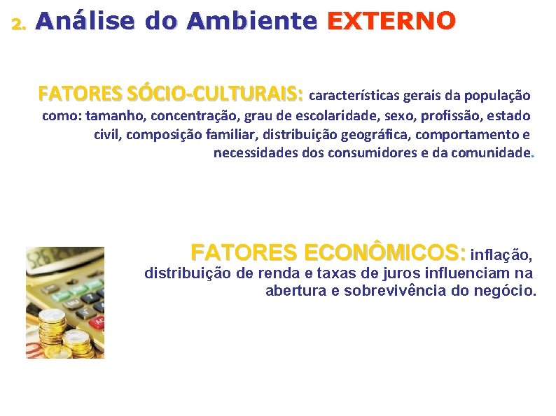 2. Análise do Ambiente EXTERNO FATORES SÓCIO-CULTURAIS: características gerais da população como: tamanho, concentração,