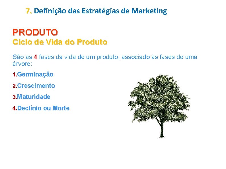 7. Definição das Estratégias de Marketing PRODUTO Ciclo de Vida do Produto São as