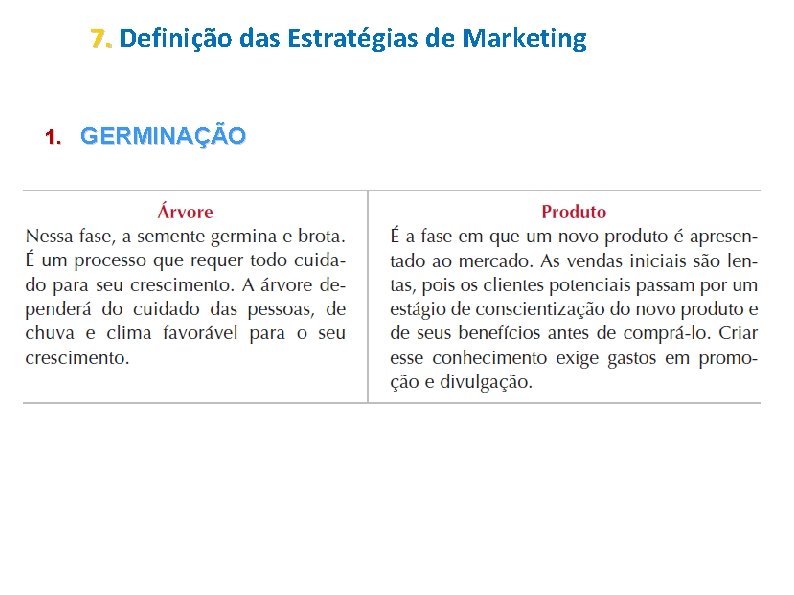 7. Definição das Estratégias de Marketing 1. GERMINAÇÃO 