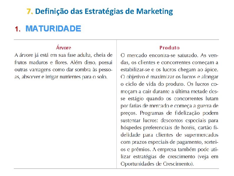 7. Definição das Estratégias de Marketing 1. MATURIDADE 