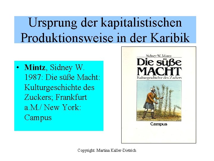 Ursprung der kapitalistischen Produktionsweise in der Karibik • Mintz, Sidney W. 1987: Die süße