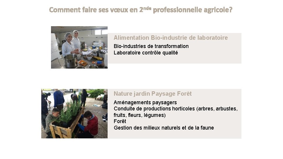 Comment faire ses vœux en 2 nde professionnelle agricole? Alimentation Bio-industrie de laboratoire Bio-industries Comment faire ses vœux en 2 nde professionnelle agricole? Alimentation Bio-industrie de laboratoire Bio-industries