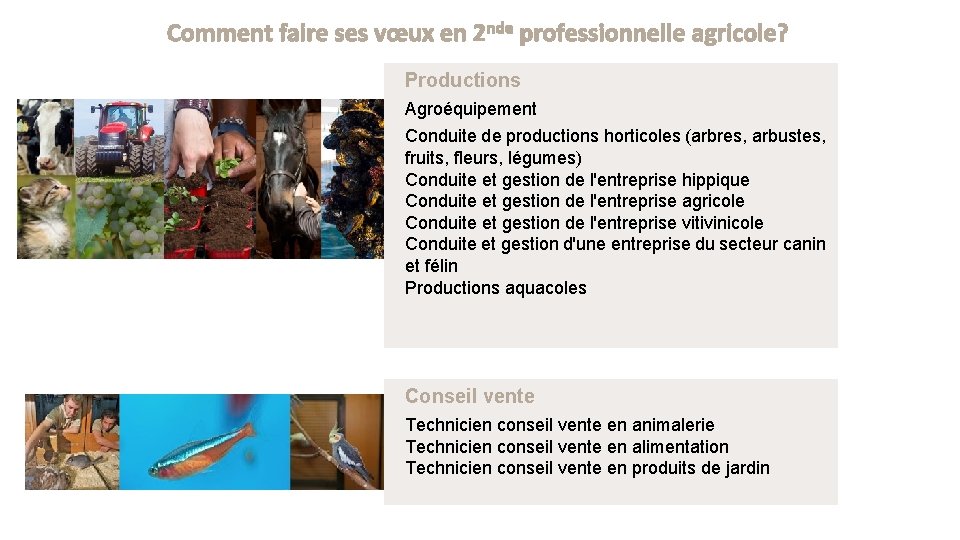 Comment faire ses vœux en 2 nde professionnelle agricole? Productions Agroéquipement Conduite de productions Comment faire ses vœux en 2 nde professionnelle agricole? Productions Agroéquipement Conduite de productions