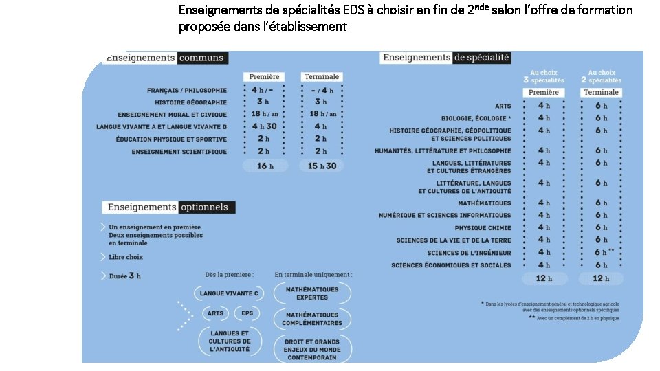 Enseignements de spécialités EDS à choisir en fin de 2 nde selon l’offre de Enseignements de spécialités EDS à choisir en fin de 2 nde selon l’offre de