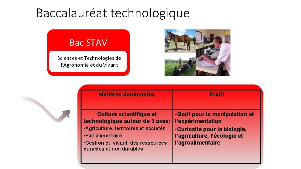 Baccalauréat technologique Bac STAV Sciencesetet. Technologiesde Sciences Del’Agronomieetetdu du. Vivant Matières dominantes Profil Culture Baccalauréat technologique Bac STAV Sciencesetet. Technologiesde Sciences Del’Agronomieetetdu du. Vivant Matières dominantes Profil Culture