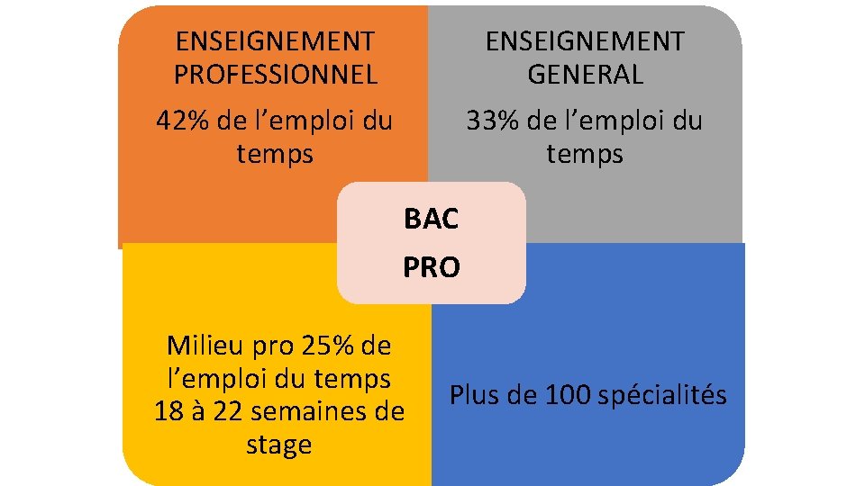 ENSEIGNEMENT PROFESSIONNEL 42% de l’emploi du temps ENSEIGNEMENT GENERAL 33% de l’emploi du temps ENSEIGNEMENT PROFESSIONNEL 42% de l’emploi du temps ENSEIGNEMENT GENERAL 33% de l’emploi du temps