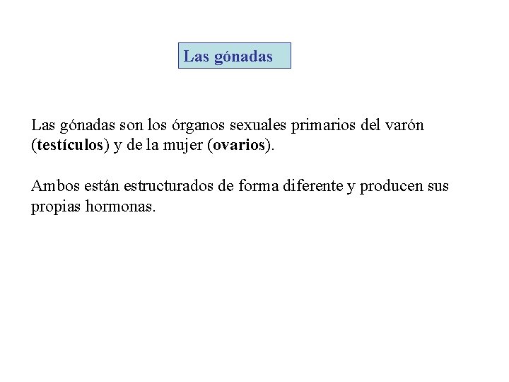 Las gónadas son los órganos sexuales primarios del varón (testículos) y de la mujer