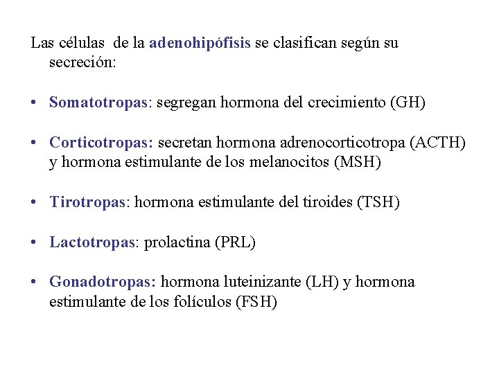 Las células de la adenohipófisis se clasifican según su secreción: • Somatotropas: segregan hormona