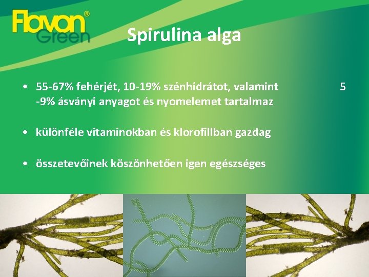 Spirulina alga • 55 -67% fehérjét, 10 -19% szénhidrátot, valamint -9% ásványi anyagot és