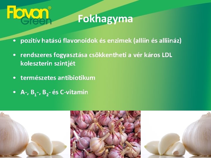 Fokhagyma • pozitív hatású flavonoidok és enzimek (alliin és alliináz) • rendszeres fogyasztása csökkentheti