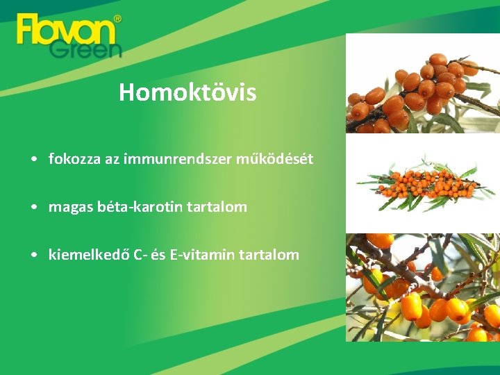 Homoktövis • fokozza az immunrendszer működését • magas béta-karotin tartalom • kiemelkedő C- és