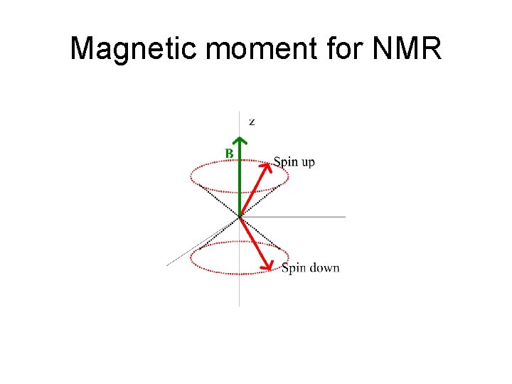 Magnetic moment for NMR 