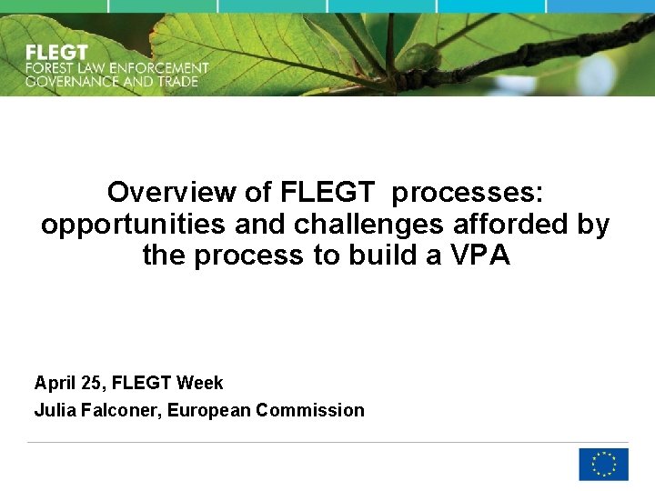 Overview of FLEGT processes opportunities and challenges afforded